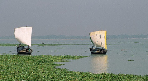 https://agricultureandfarming.files.wordpress.com/2013/06/rri_rivers_in_bangladesh_image5.jpg